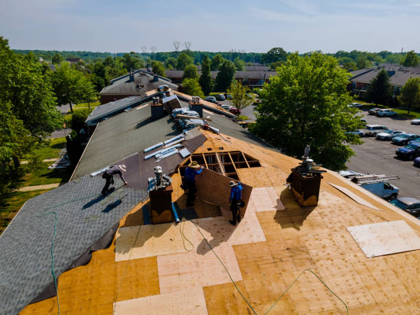 Best Storm Damage Roof Repair  in Corydon, IA