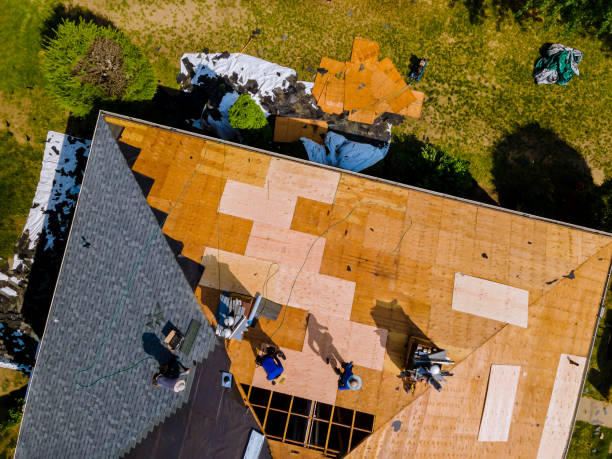 Best Roof Gutter Cleaning  in Corydon, IA