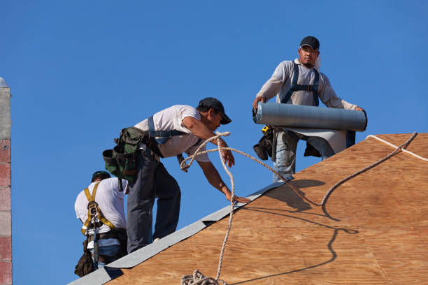 Best Roof Waterproofing Services  in Corydon, IA